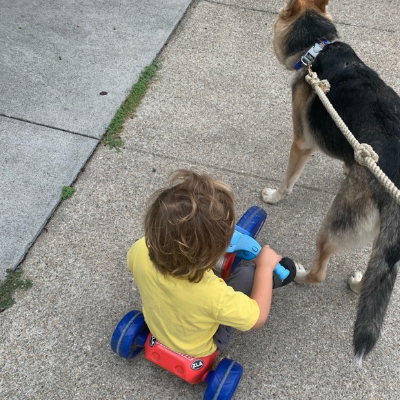 Meet your Posher, Sara - Picture 6 of 6